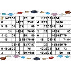 Plaque de 6 cartons de loto plastifié pliable neuf (A3)idéal pour les malvoyants.