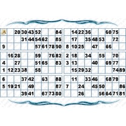 Plaque de 6 cartons de loto plastifié pliable neuf (A3)idéal pour les malvoyants.