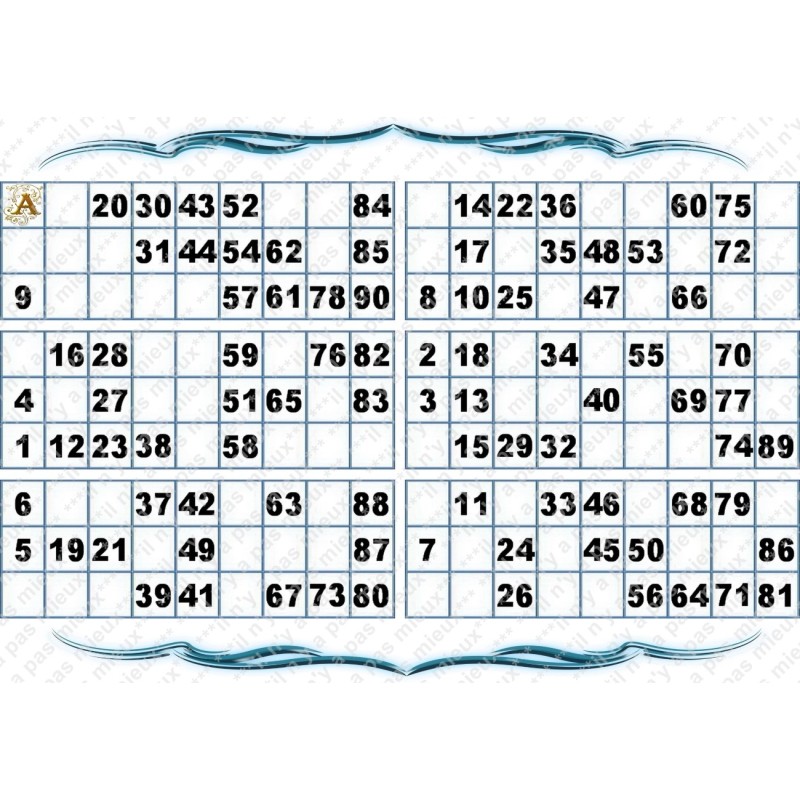 Plaque de 6 cartons de loto plastifié pliable neuf (A3)idéal pour les malvoyants.