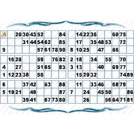 Plaque de 6 cartons de loto plastifié pliable neuf (A3)idéal pour les malvoyants.