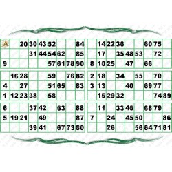 Plaque de 6 cartons de loto plastifié pliable neuf (A3)idéal pour les malvoyants.