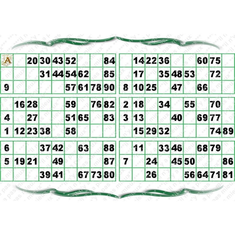 Plaque de 6 cartons de loto plastifié pliable neuf (A3)idéal pour les malvoyants.