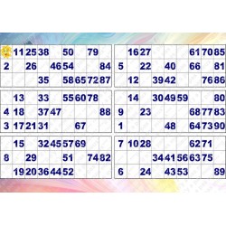 Plaque de 6 cartons de loto plastifié pliable neuf (A3)idéal pour les malvoyants.