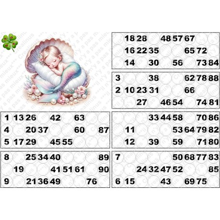 Plaque de 6 cartons de loto plastifié pliable neuf (A3)idéal pour les malvoyants.