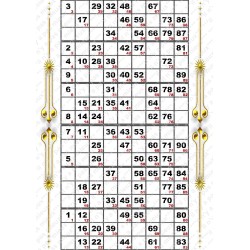 Plaque de 6 cartons de loto plastifié pliable neuf (A3)idéal pour les malvoyants.