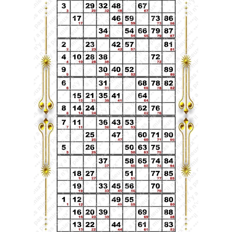 Plaque de 6 cartons de loto plastifié pliable neuf (A3)idéal pour les malvoyants.