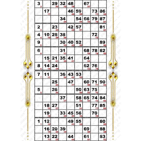 Plaque de 6 cartons de loto plastifié pliable neuf (A3)idéal pour les malvoyants.