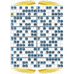 Plaque de 12 cartons de loto plastifié pliable neuf (A3).