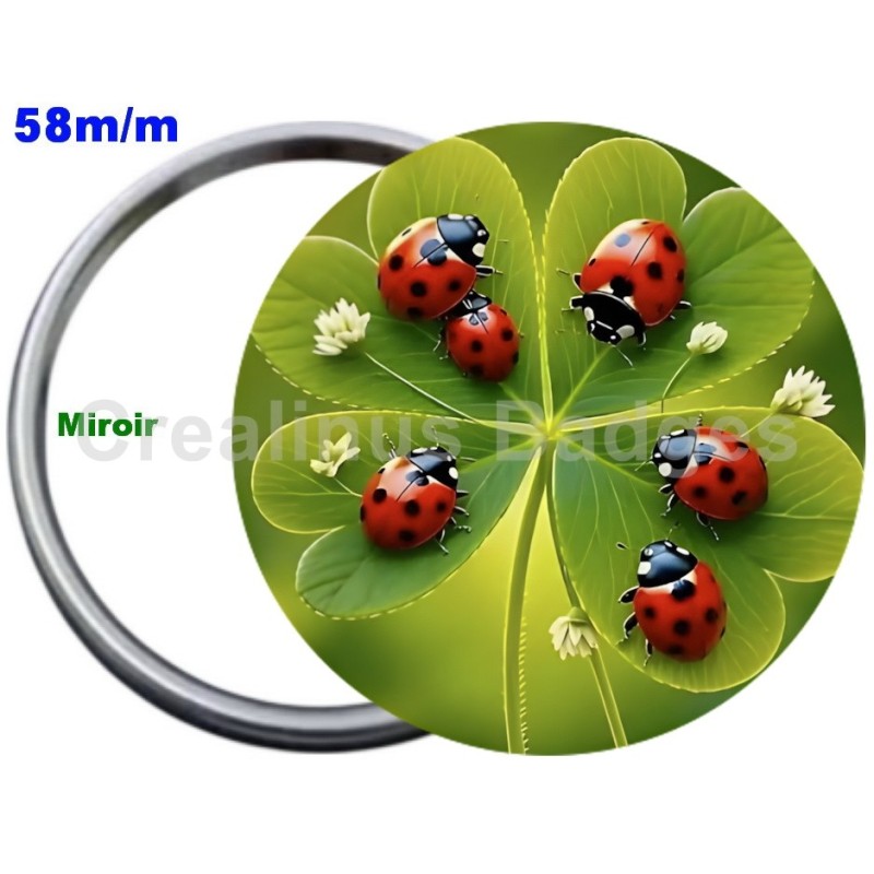 Badge Métal Miroir de 58 m/m avec Motif. (DIVERS).