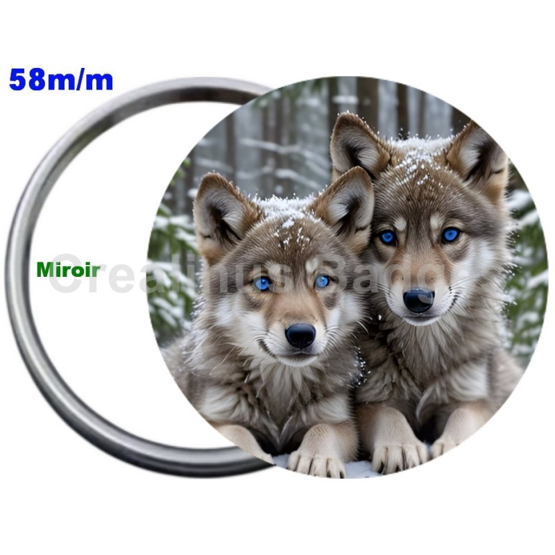 Badge Métal Miroir de 58 m/m avec Motif. (DIVERS).