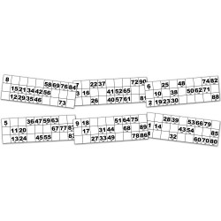 Lot de 6 cartons de loto sur Papier 200g plastifié neuf (10x21cm).