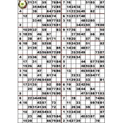 Plaque de 18 cartons de loto plastifié 200 microns neuf (A3) Pliable en 3.