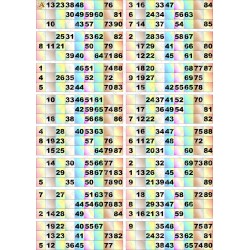 Plaque de 16 cartons de loto plastifié pliable neuf (A3).