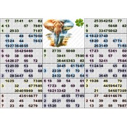 Plaque de 16 cartons de loto plastifié 200 microns neuf (A3) Pliable en 3.