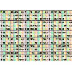 Plaque de 15 cartons de loto plastifié Plié en 3 plis neuf (A3).