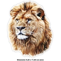 Stickers en Vinyle imperméable adhésif au choix.