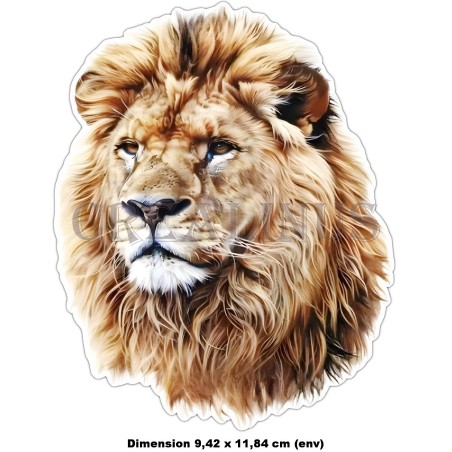 Stickers en Vinyle imperméable adhésif au choix.