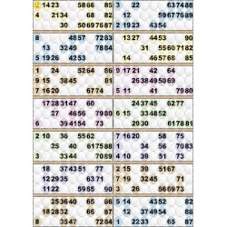 Plaque de 14 cartons de loto plastifié pliable neuf (A3).
