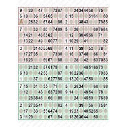 Plaque de 12 cartons de loto plastifié pliable neuf (A3).