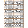 Plaque de 12 cartons de loto plastifié pliable neuf (A3).
