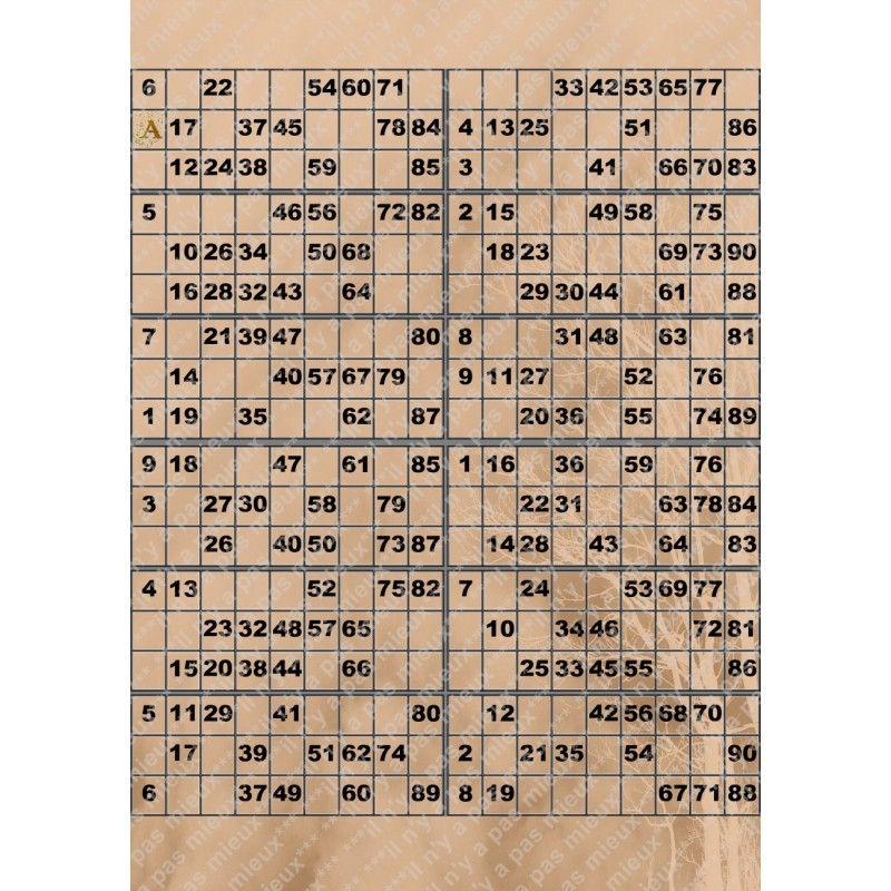 Plaque de 12 cartons de loto plastifié pliable neuf (A3).