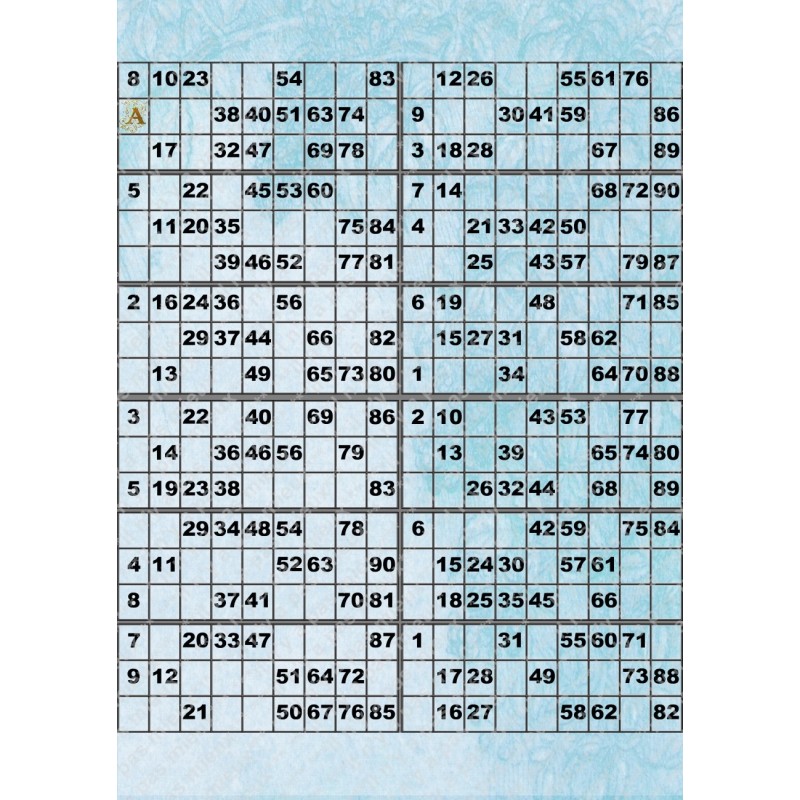 Plaque de 12 cartons de loto plastifié pliable neuf (A3).