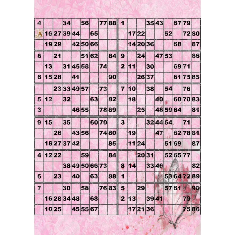 Plaque de 12 cartons de loto plastifié pliable neuf (A3).