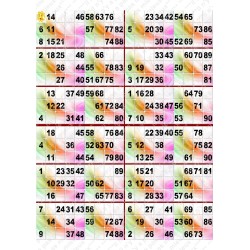 Plaque de 12 cartons de loto plastifié pliable neuf (A3).