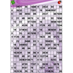 Plaque de 12 cartons de loto plastifié pliable neuf (A3).