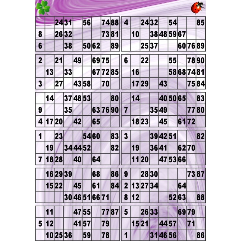 Plaque de 12 cartons de loto plastifié pliable neuf (A3).