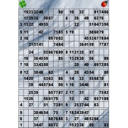 Plaque de 12 cartons de loto plastifié pliable neuf (A3).