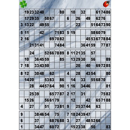 Plaque de 12 cartons de loto plastifié pliable neuf (A3).