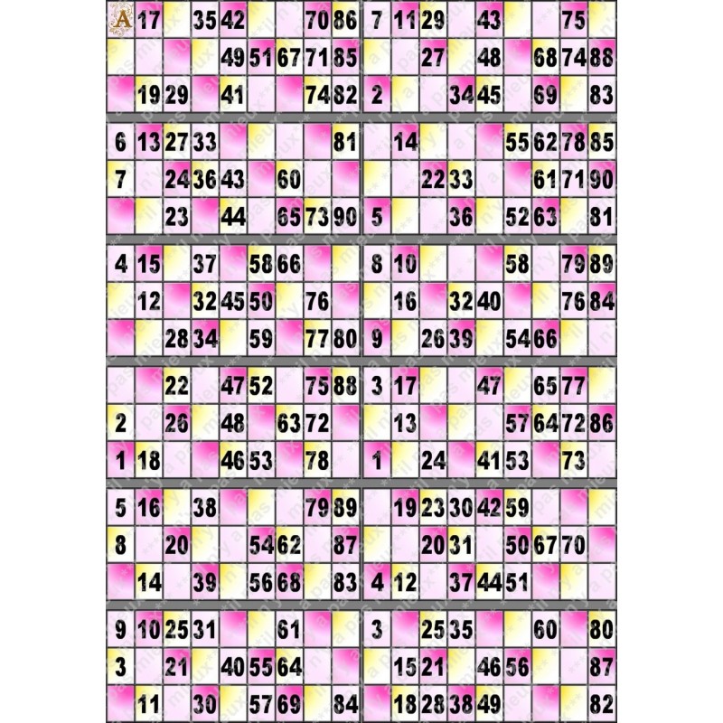 Plaque de 12 cartons de loto plastifié pliable neuf (A3).