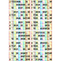 Plaque de 12 cartons de loto plastifié pliable neuf (A3).