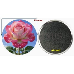 Badge Magnet Aimant 75 m/m avec Motif.