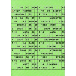 Plaque de 12 cartons de loto plastifié pliable neuf (A3).