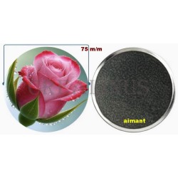 Badge Magnet Aimant 75 m/m avec Motif.