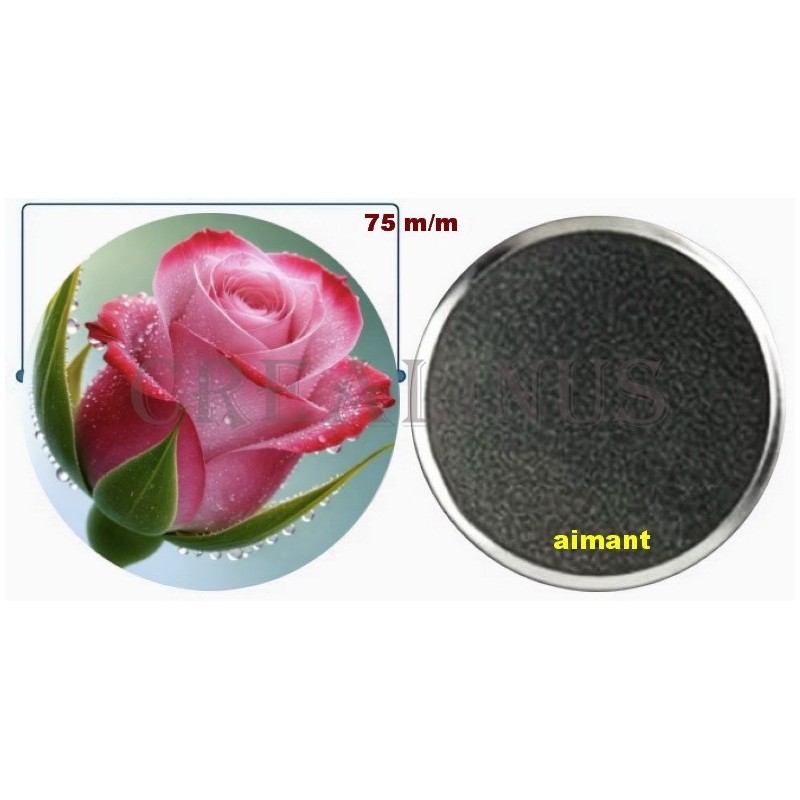 Badge Magnet Aimant 75 m/m avec Motif.
