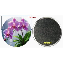 Badge Magnet Aimant 75 m/m avec Motif.