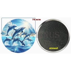Badge Magnet Aimant 75 m/m avec Motif.