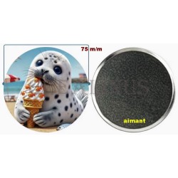 Badge Magnet Aimant 75 m/m avec Motif.