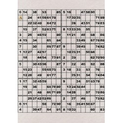 Plaque de 12 cartons de loto plastifié pliable neuf (A3).