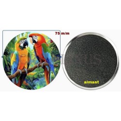 Badge Magnet Aimant 75 m/m avec Motif.