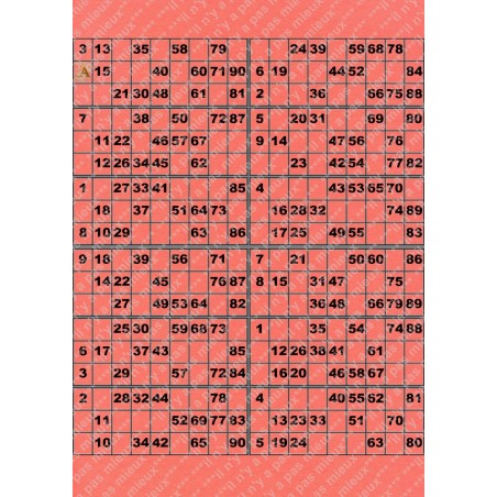 Plaque de 12 cartons de loto plastifié pliable neuf (A3).