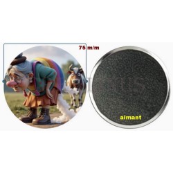Badge Magnet Aimant 75 m/m avec Motif.