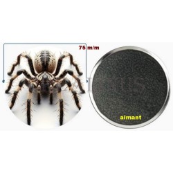 Badge Magnet Aimant 75 m/m avec Motif.