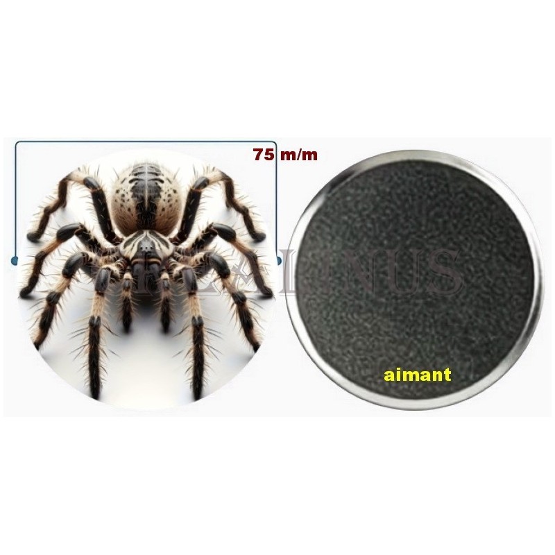 Badge Magnet Aimant 75 m/m avec Motif.