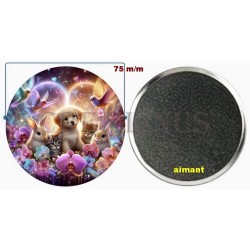 Badge Magnet Aimant 75 m/m avec Motif.