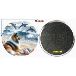 Badge Magnet Aimant 75 m/m avec Motif.