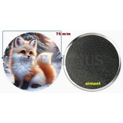 Badge Magnet Aimant 75 m/m avec Motif.